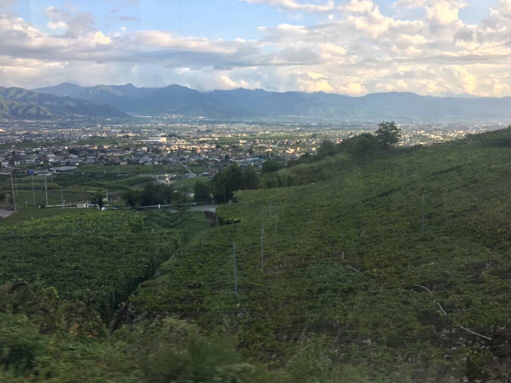 バス内からの山の景色