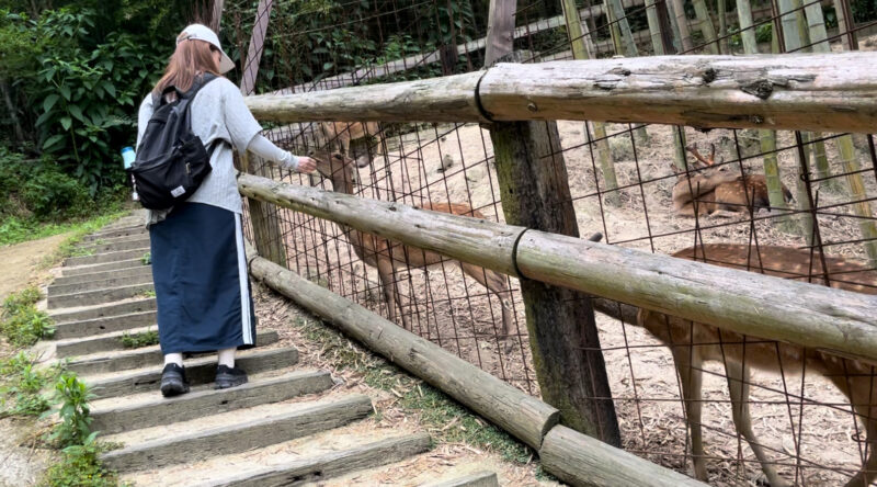 しろとり動物園シカ広場