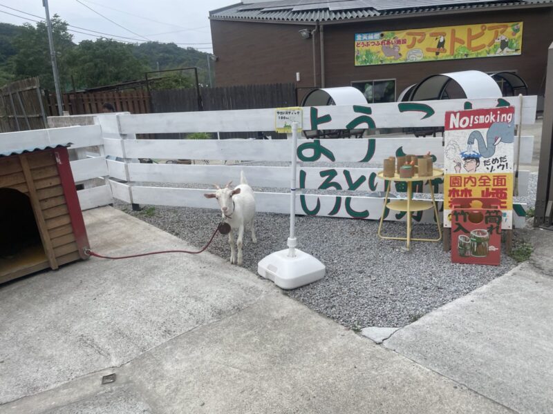 しろとり動物園ゲート前の看板ヤギ