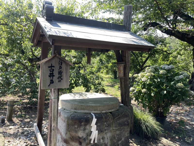 江戸時代の古井戸