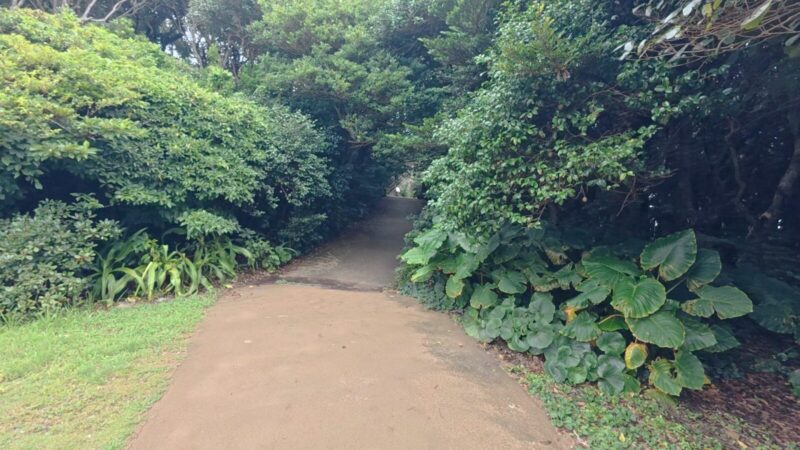 足摺岬観光案内所から展望台までの道