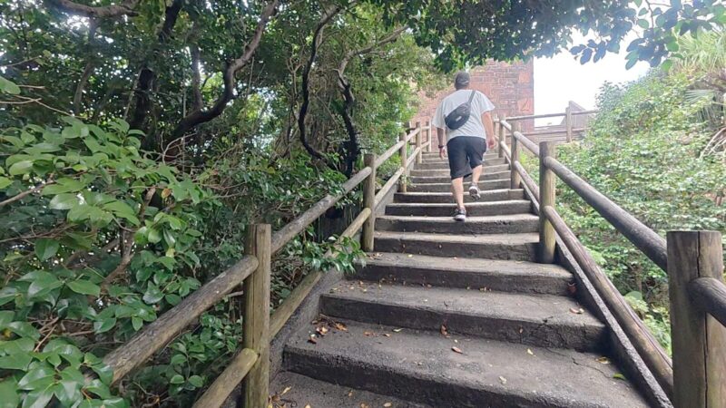 足摺岬観光案内所から展望台までの道