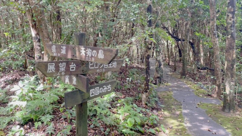 天狗の鼻から足摺岬駐車場への道
