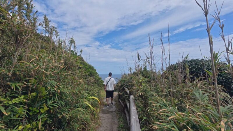 足摺岬展望台から天狗の鼻までの道